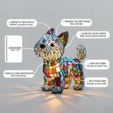 Moomie – jūsų geriausias kompanionas